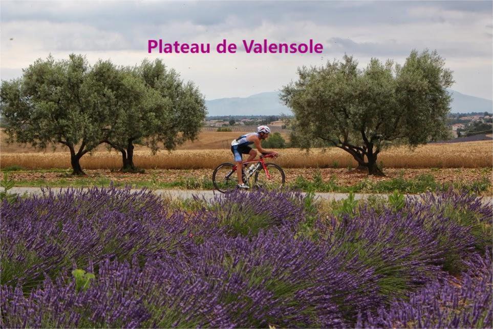 Charmant T3 Avec Piscine Digne-les-Bains Esterno foto